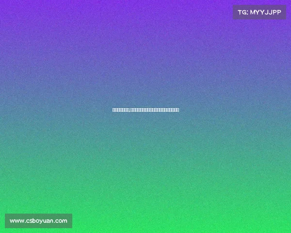 赛事授权书英文,赛事授权书英文文档官方格式指南与使用说明